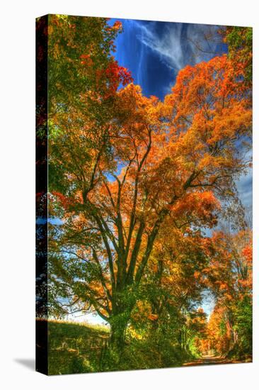 Autumn Borden Road Vertical-Robert Goldwitz-Premier Image Canvas