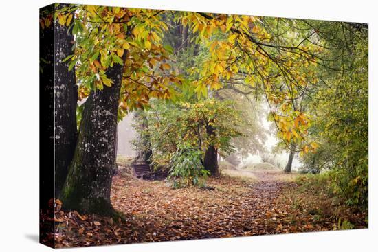 Autumn Break under the Trees-Philippe Manguin-Premier Image Canvas