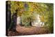 Autumn Break under the Trees-Philippe Manguin-Premier Image Canvas