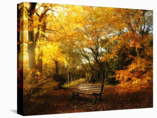 Autumn Break-Philippe Manguin-Premier Image Canvas