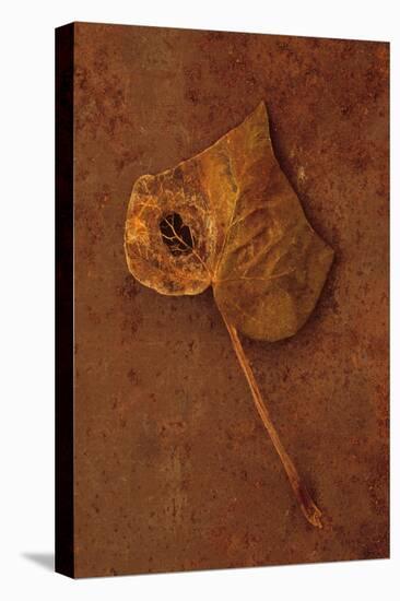 Autumn Brown-Den Reader-Premier Image Canvas