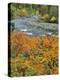 Autumn Color along Imnaha River-Steve Terrill-Premier Image Canvas