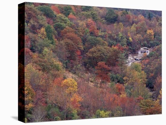 Autumn color in the Great Smoky Mountains National Park, Tennessee, USA-William Sutton-Premier Image Canvas