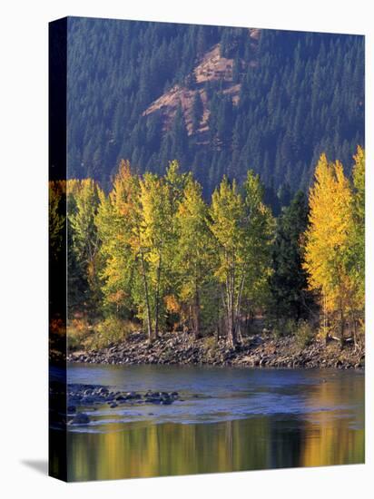 Autumn Color on the Methow River, Washington, USA-William Sutton-Premier Image Canvas