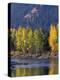 Autumn Color on the Methow River, Washington, USA-William Sutton-Premier Image Canvas