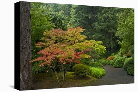 Autumn Color, Portland Japanese Garden, Portland, Oregon, USA-Michel Hersen-Premier Image Canvas