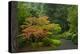 Autumn Color, Portland Japanese Garden, Portland, Oregon, USA-Michel Hersen-Premier Image Canvas