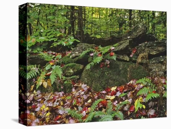 Autumn Colors and Boulders in the Green Mountains, Vermont, USA-Dennis Flaherty-Premier Image Canvas