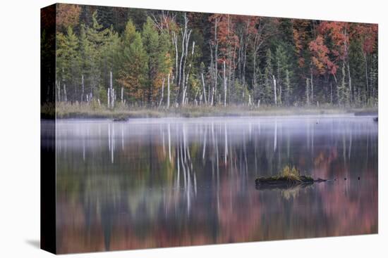 Autumn colors and mist on Council Lake at sunrise, Hiawatha National Forest, Michigan.-Adam Jones-Premier Image Canvas