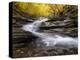 Autumn Colors in a beech trees wood with a waterfall flowing between rocks, long exposure-Francesco Fanti-Premier Image Canvas