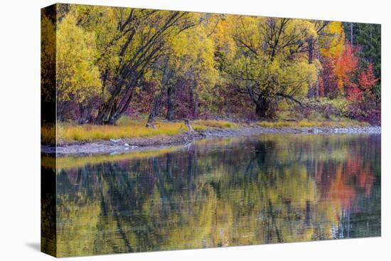 Autumn Colors Reflect into the Whitefish River in Whitefish, Montana, Usa-Chuck Haney-Premier Image Canvas