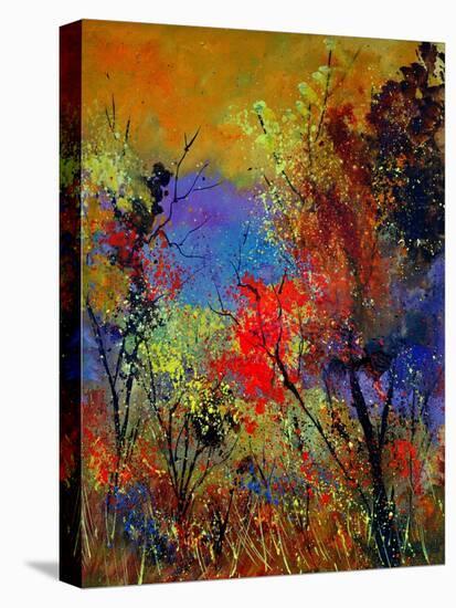 Autumn Colors-Pol Ledent-Stretched Canvas