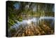 Autumn Colours and Drifting Leaves in the Lake-Falk Hermann-Premier Image Canvas
