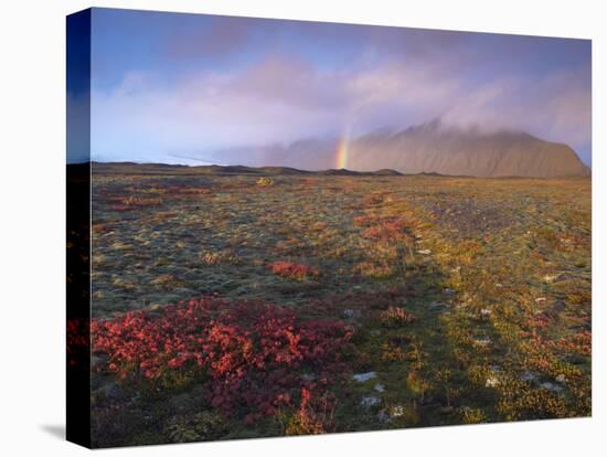 Autumn Colours and Rainbow over Illuklettar Near Skaftafellsjokull Glacier Seen in the Distance-Patrick Dieudonne-Premier Image Canvas