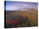 Autumn Colours and Rainbow over Illuklettar Near Skaftafellsjokull Glacier Seen in the Distance-Patrick Dieudonne-Premier Image Canvas