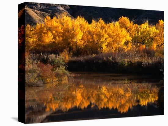 Autumn Colours of Drumheller Valley in Alberta, Drumheller Valley, Canada-Mark Newman-Premier Image Canvas