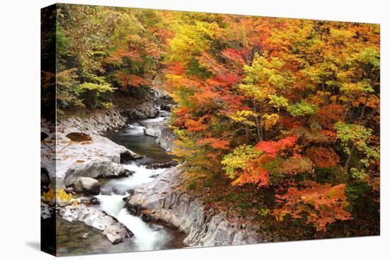 Autumn Colours of Valley-tamikosan-Premier Image Canvas