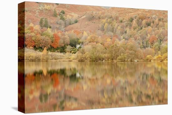 Autumn Colours Reflected in Grasmere Lake in the Lake District National Park-Julian Elliott-Premier Image Canvas