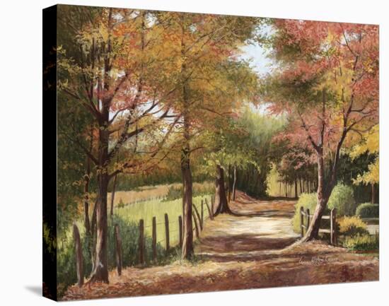 Autumn Country Road-Lene Alston Casey-Stretched Canvas