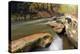 Autumn Creek-5fishcreative-Premier Image Canvas