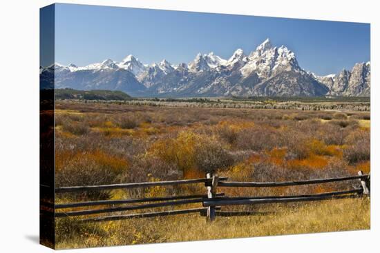 Autumn, Cunningham Cabin Area, Grand Tetons, Grand Teton NP, Wyoming-Michel Hersen-Premier Image Canvas