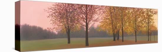 Autumn Dawn, Maples-Elissa Gore-Stretched Canvas