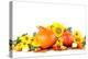 Autumn Decoration with Sunflowers and Hokkaido Pumpkins-IngridHS-Premier Image Canvas