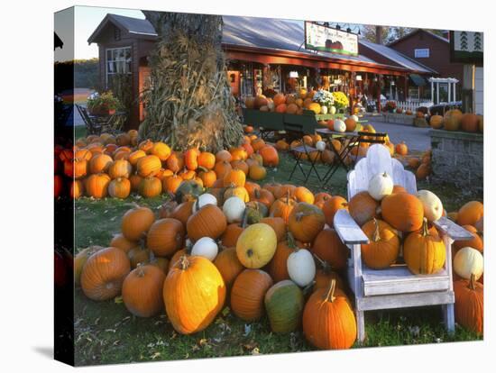 Autumn Display of Pumpkins New England, Maine, USA-Jaynes Gallery-Premier Image Canvas