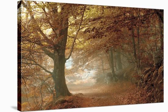 Autumn Dream-Toni Vila-Stretched Canvas