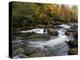 Autumn Dream-Danny Head-Premier Image Canvas