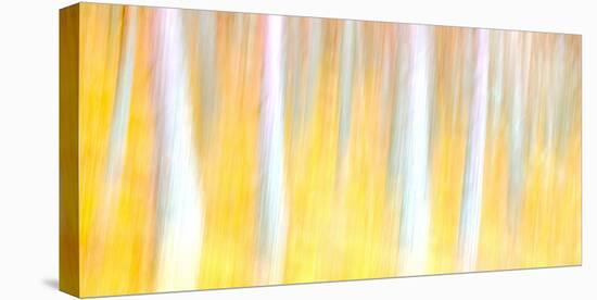 Autumn Dreams-Doug Chinnery-Premier Image Canvas