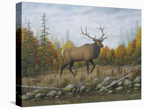 Autumn Elk-Robert Wavra-Premier Image Canvas