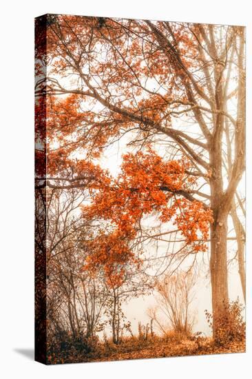 Autumn Emotion-Philippe Saint-Laudy-Premier Image Canvas