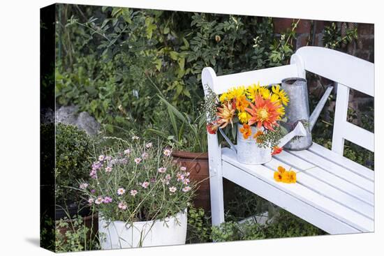 Autumn Flowers on Garden Bench-Andrea Haase-Premier Image Canvas