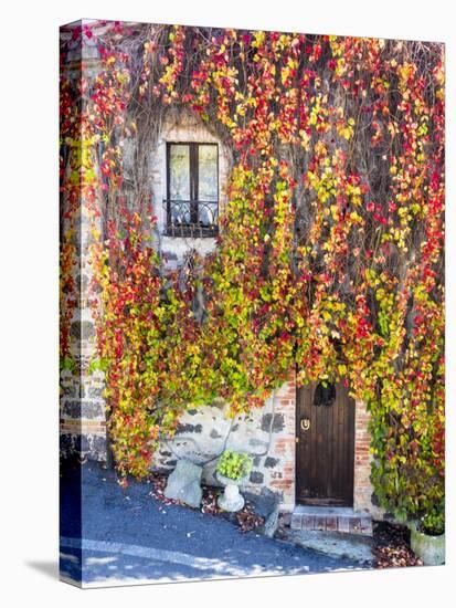 Autumn Foliage around Tuscan Villa-Terry Eggers-Premier Image Canvas