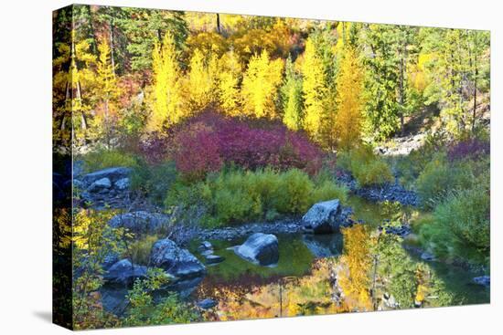 Autumn foliage, Tumwater Canyon, Wenatchee National Forest, WA.-Michel Hersen-Premier Image Canvas