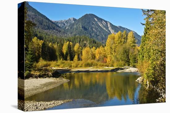 Autumn foliage, White River, Wenatchee National Forest, Washington State, USA-Michel Hersen-Premier Image Canvas