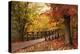 Autumn Footbridge-Jessica Jenney-Premier Image Canvas