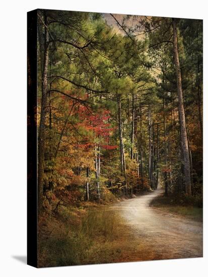 Autumn Forest 2-Jai Johnson-Premier Image Canvas