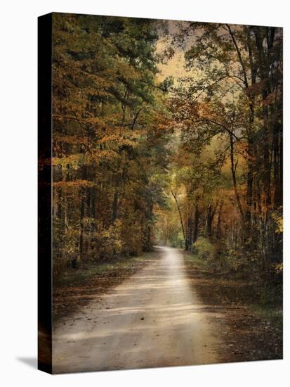 Autumn Forest 3-Jai Johnson-Premier Image Canvas