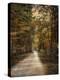 Autumn Forest 3-Jai Johnson-Premier Image Canvas