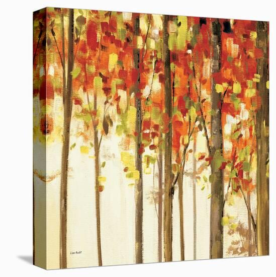 Autumn Forest Study III-Lisa Audit-Stretched Canvas