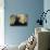 Autumn Gingko IV-Rita Crane-Premier Image Canvas displayed on a wall