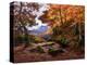 Autumn Gold-Alfred Oliver-Premier Image Canvas