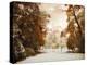 Autumn Greets Winter-Jessica Jenney-Premier Image Canvas