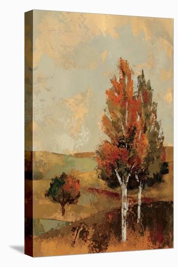 Autumn Hills III-Silvia Vassileva-Stretched Canvas