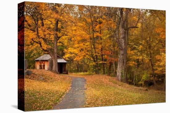 Autumn Home-Natalie Mikaels-Premier Image Canvas