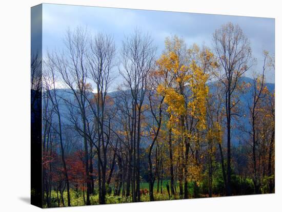 Autumn in Cades Cove, Smoky Mountains National Park, Tennessee, USA-Anna Miller-Premier Image Canvas