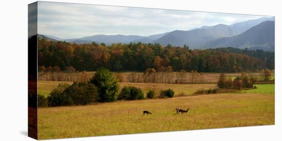 Autumn in Cades Cove, Smoky Mountains National Park, Tennessee, USA-Anna Miller-Premier Image Canvas