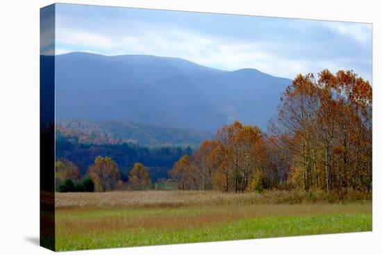 Autumn in Cades Cove, Smoky Mountains National Park, Tennessee, USA-Anna Miller-Premier Image Canvas